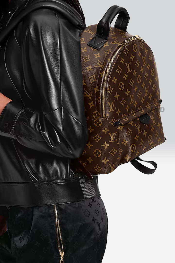 LV Springs Brown Bag-30039 SPLAYD